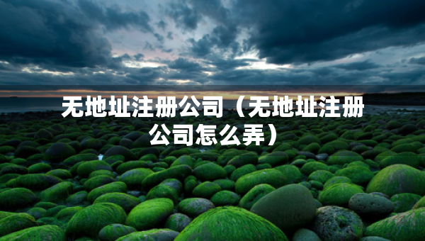 無(wú)地址注冊(cè)公司（無(wú)地址注冊(cè)公司怎么弄）