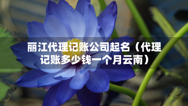 麗江代理記賬公司起名（代理記賬多少錢一個月云南）