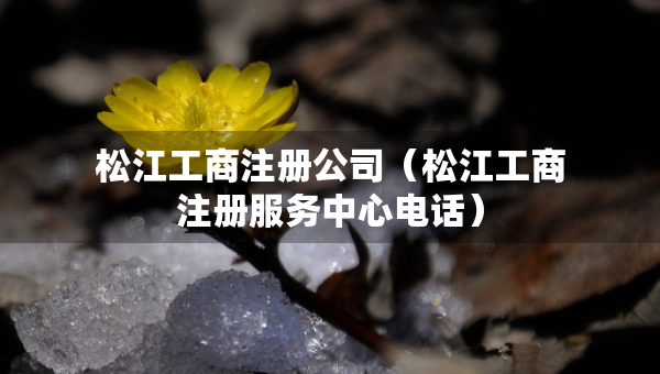松江工商注冊(cè)公司（松江工商注冊(cè)服務(wù)中心電話）