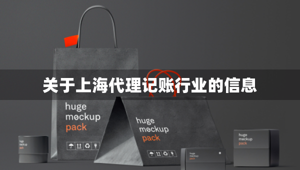 關(guān)于上海代理記賬行業(yè)的信息