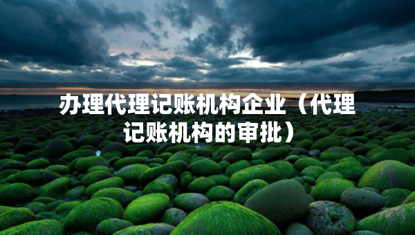 辦理代理記賬機(jī)構(gòu)企業(yè)（代理記賬機(jī)構(gòu)的審批）