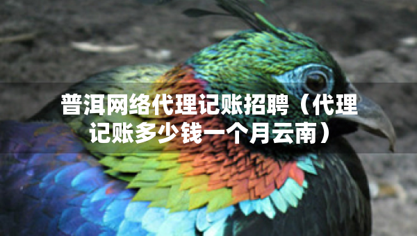 普洱網(wǎng)絡(luò)代理記賬招聘（代理記賬多少錢一個(gè)月云南）