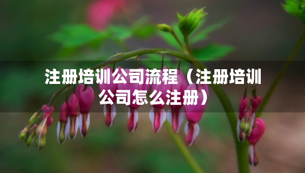 注冊培訓(xùn)公司流程（注冊培訓(xùn)公司怎么注冊）