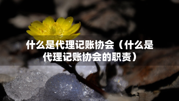 什么是代理記賬協(xié)會(huì)（什么是代理記賬協(xié)會(huì)的職責(zé)）