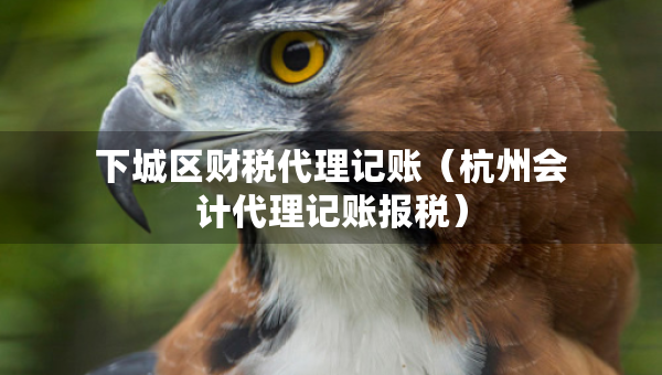 下城區(qū)財(cái)稅代理記賬（杭州會(huì)計(jì)代理記賬報(bào)稅）