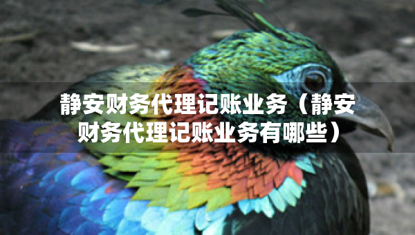 靜安財務(wù)代理記賬業(yè)務(wù)（靜安財務(wù)代理記賬業(yè)務(wù)有哪些）