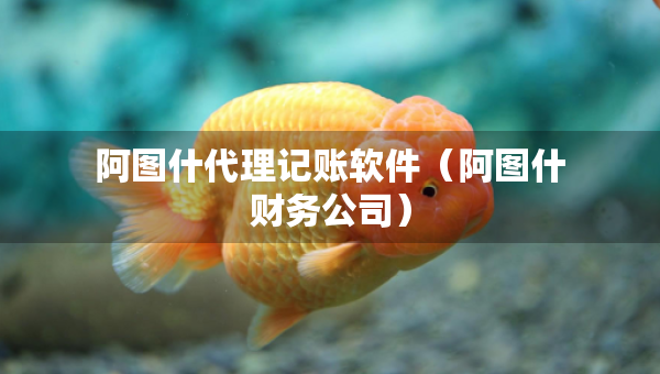 阿圖什代理記賬軟件（阿圖什財務公司）