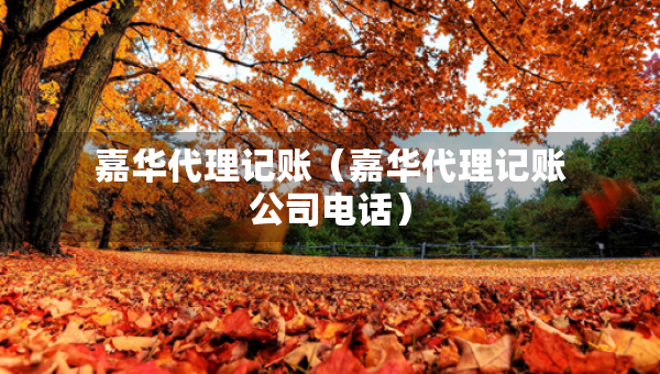 嘉華代理記賬（嘉華代理記賬公司電話）
