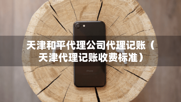 天津和平代理公司代理記賬（天津代理記賬收費標準）
