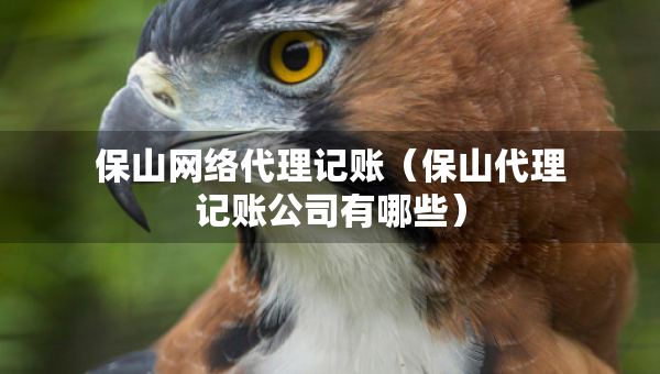 保山網(wǎng)絡(luò)代理記賬（保山代理記賬公司有哪些）