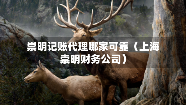 崇明記賬代理哪家可靠（上海崇明財務(wù)公司）