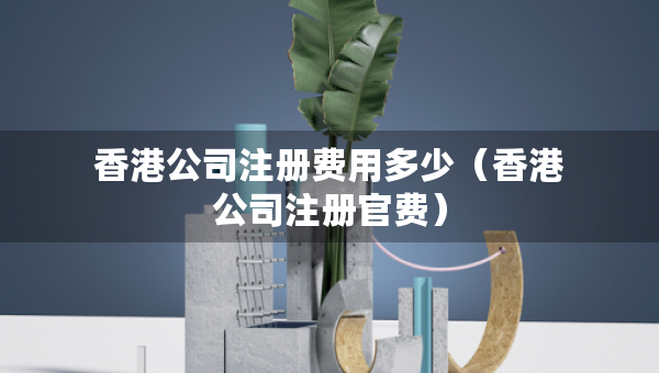 香港公司注冊費用多少（香港公司注冊官費）