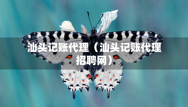 汕頭記賬代理（汕頭記賬代理招聘網(wǎng)）