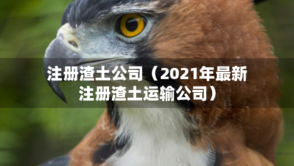 注冊渣土公司（2021年最新注冊渣土運(yùn)輸公司）