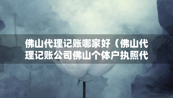 佛山代理記賬哪家好（佛山代理記賬公司佛山個體戶執(zhí)照代辦）