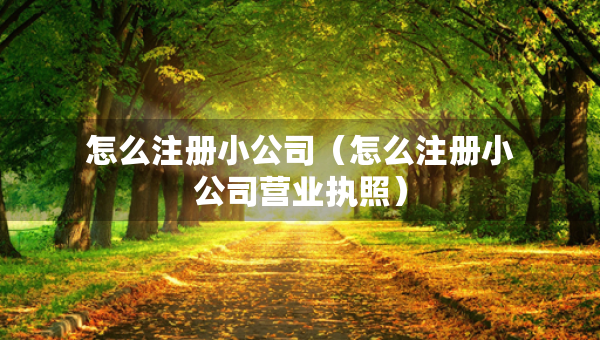 怎么注冊(cè)小公司（怎么注冊(cè)小公司營業(yè)執(zhí)照）