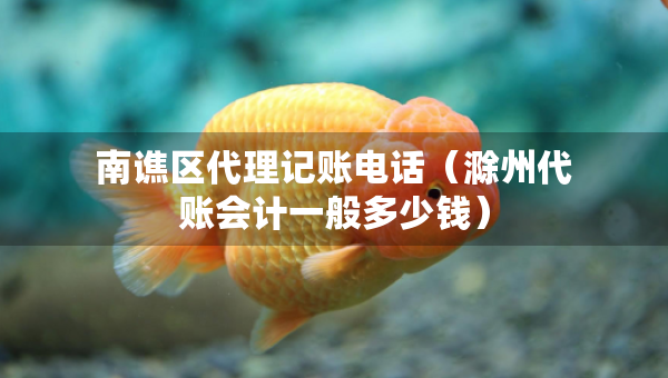 南譙區(qū)代理記賬電話（滁州代賬會計一般多少錢）