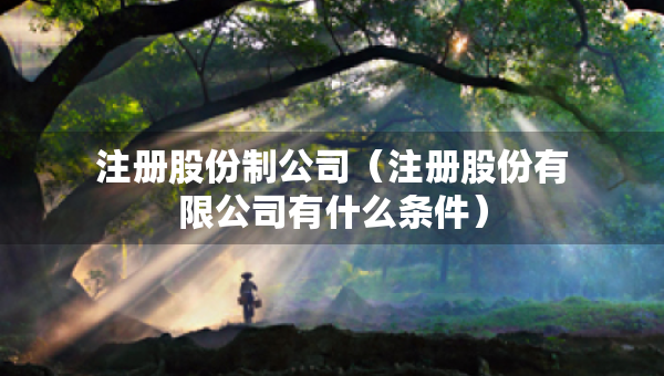 注冊股份制公司（注冊股份有限公司有什么條件）