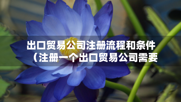 出口貿(mào)易公司注冊流程和條件（注冊一個出口貿(mào)易公司需要什么手續(xù)）
