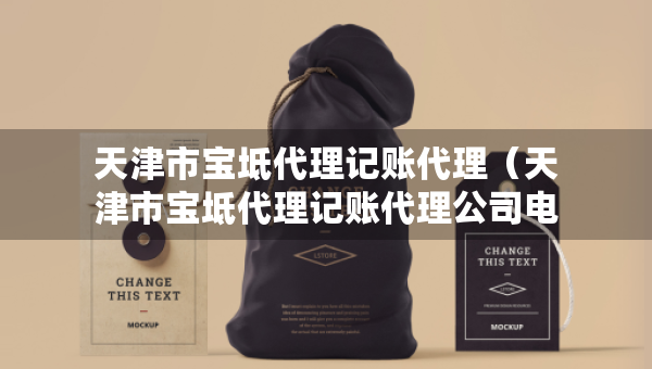天津市寶坻代理記賬代理（天津市寶坻代理記賬代理公司電話）