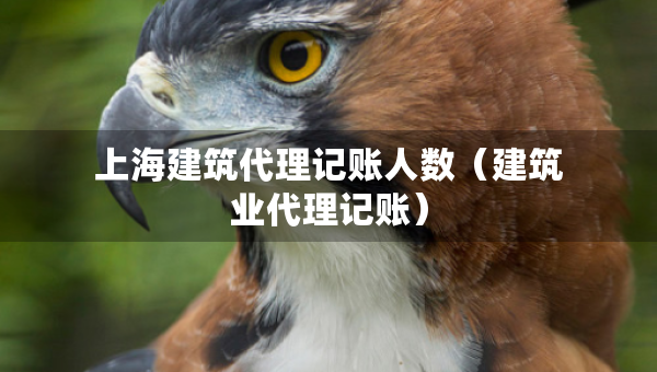 上海建筑代理記賬人數(shù)（建筑業(yè)代理記賬）