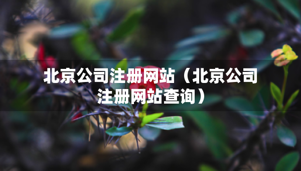 北京公司注冊網(wǎng)站（北京公司注冊網(wǎng)站查詢）