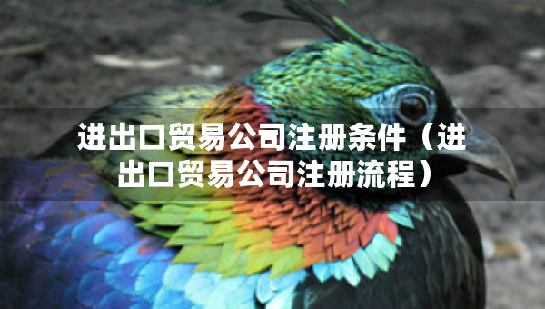 進(jìn)出口貿(mào)易公司注冊(cè)條件（進(jìn)出口貿(mào)易公司注冊(cè)流程）