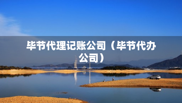畢節(jié)代理記賬公司（畢節(jié)代辦公司）