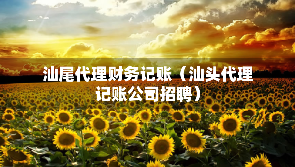 汕尾代理財務(wù)記賬（汕頭代理記賬公司招聘）