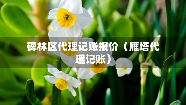 碑林區(qū)代理記賬報(bào)價(jià)（雁塔代理記賬）