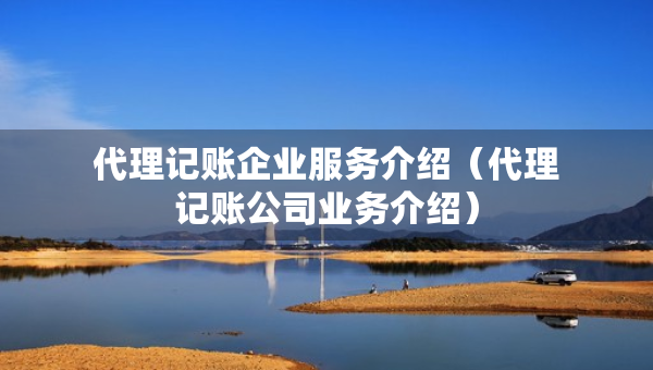 代理記賬企業(yè)服務(wù)介紹（代理記賬公司業(yè)務(wù)介紹）