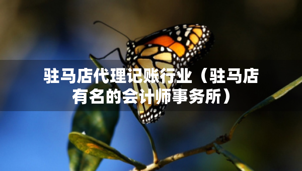 駐馬店代理記賬行業(yè)（駐馬店有名的會(huì)計(jì)師事務(wù)所）