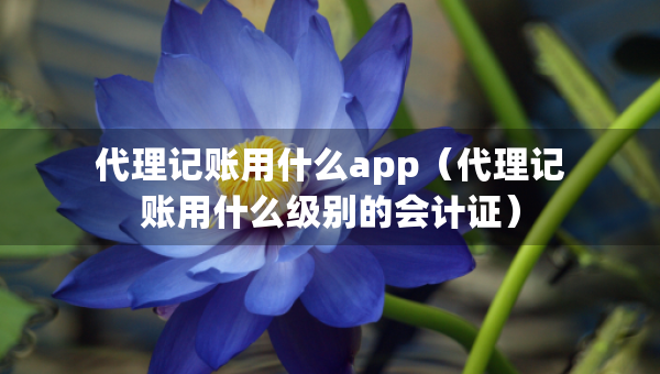 代理記賬用什么app（代理記賬用什么級別的會(huì)計(jì)證）