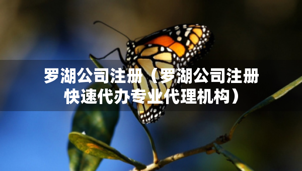 羅湖公司注冊(cè)（羅湖公司注冊(cè)快速代辦專業(yè)代理機(jī)構(gòu)）