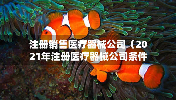 注冊銷售醫(yī)療器械公司（2021年注冊醫(yī)療器械公司條件）