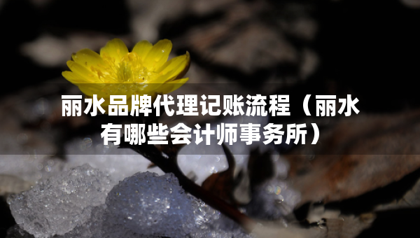 麗水品牌代理記賬流程（麗水有哪些會(huì)計(jì)師事務(wù)所）