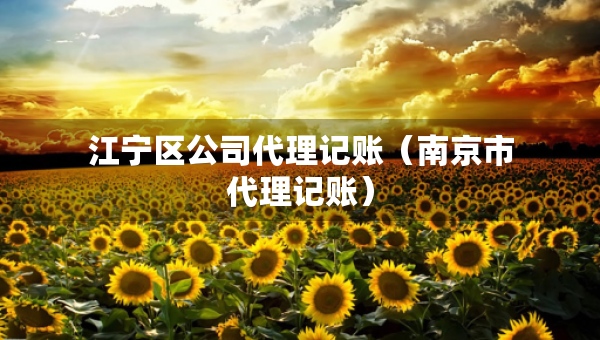 江寧區(qū)公司代理記賬（南京市代理記賬）