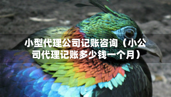 小型代理公司記賬咨詢（小公司代理記賬多少錢一個(gè)月）