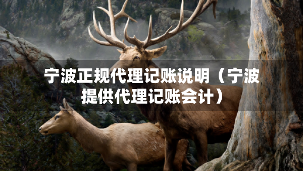 寧波正規(guī)代理記賬說(shuō)明（寧波提供代理記賬會(huì)計(jì)）