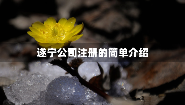遂寧公司注冊(cè)的簡(jiǎn)單介紹