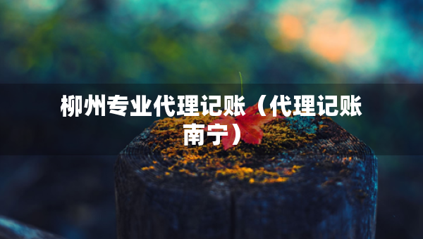 柳州專業(yè)代理記賬（代理記賬南寧）