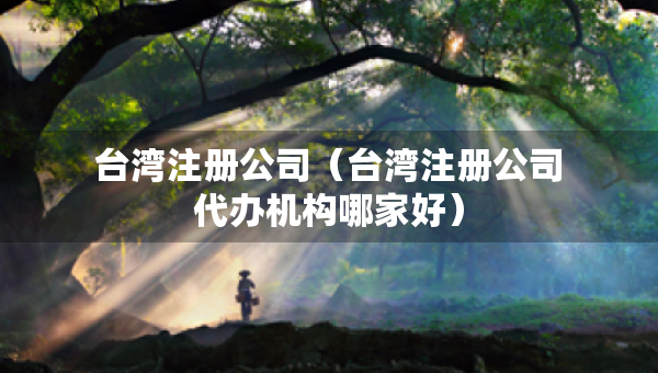 臺(tái)灣注冊公司（臺(tái)灣注冊公司代辦機(jī)構(gòu)哪家好）