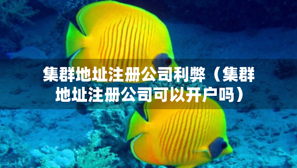 集群地址注冊(cè)公司利弊（集群地址注冊(cè)公司可以開戶嗎）