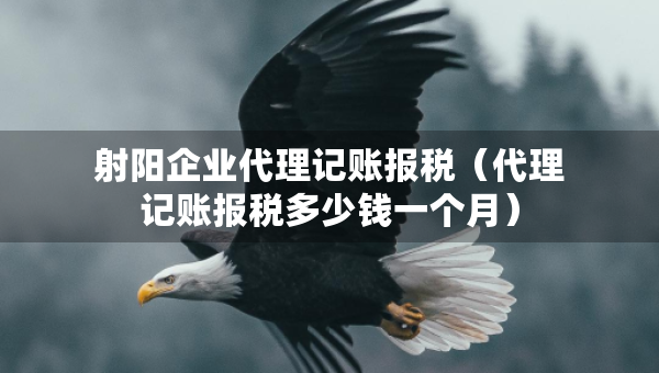 射陽企業(yè)代理記賬報稅（代理記賬報稅多少錢一個月）