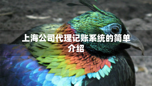 上海公司代理記賬系統(tǒng)的簡(jiǎn)單介紹