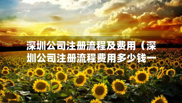深圳公司注冊流程及費用（深圳公司注冊流程費用多少錢一個月 就選三合一財稅）