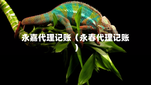 永嘉代理記賬（永春代理記賬）
