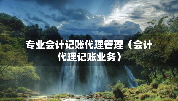 專(zhuān)業(yè)會(huì)計(jì)記賬代理管理（會(huì)計(jì)代理記賬業(yè)務(wù)）