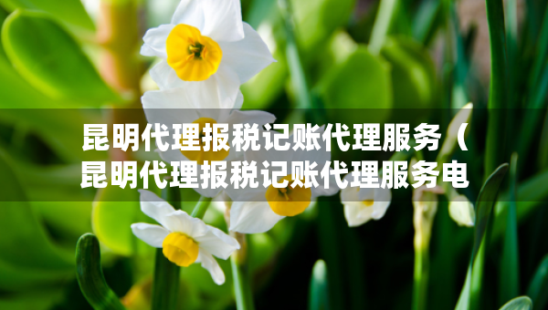 昆明代理報(bào)稅記賬代理服務(wù)（昆明代理報(bào)稅記賬代理服務(wù)電話）