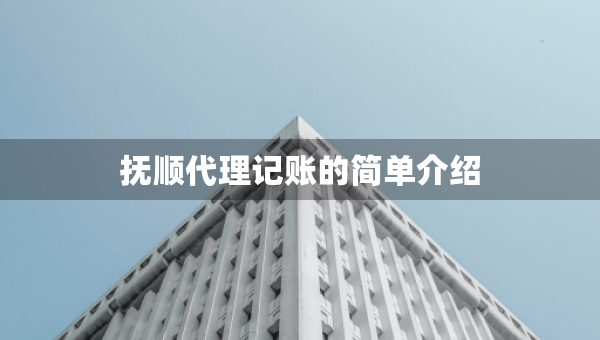 撫順代理記賬的簡(jiǎn)單介紹